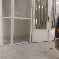 درب فلزی با شیشه دو جداره  و درب توری|مصالح و تجهیزات ساختمان|کرمان, |دیوار