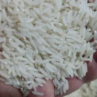 فروش برنج طارم هاشمی قیمت توافقی|خوردنی و آشامیدنی|قائم‌شهر, |دیوار