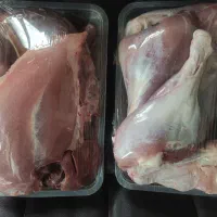 بوقلمون بیوتی پروار|حیوانات مزرعه|مشهد, الهیه|دیوار