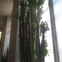 گل تخفیف هم داره|گل مصنوعی|یاسوج, |دیوار