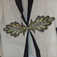 کت مجلسی درحدنو|لباس|نور, |دیوار