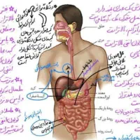 آموزش تخصصی زیست شناسی رایگان
