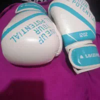 دستکش بوکس livepro نو|تجهیزات ورزشی|رامهرمز, |دیوار