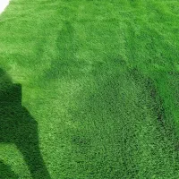 چمن مصنوعی|گل مصنوعی|کرمانشاه, |دیوار