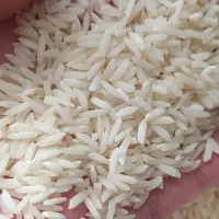 برنج هاشمی اصل
