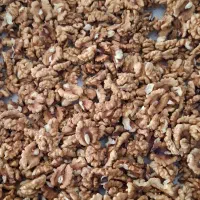 اجیل وخشکبار|عمده‌فروشی|لاهیجان, پردسر|دیوار