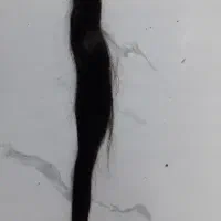 موی طبیعی،بدون رنگ هستش