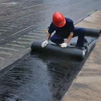 نقره ای شرق ایزوگام