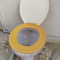 توالت فرنگی سالم بدونه شکستگی
