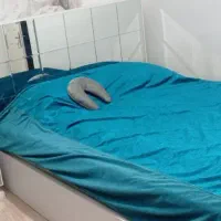 تخت به همراه تشک در حد خیلی نو