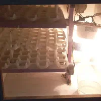 دستگاه جوجه کشی|لوازم جانبی حیوانات|قرق, |دیوار