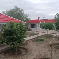 باغ 500متری دل انگیز با درختان مثمر|فروش خانه و ویلا|مشهد, دهشک|دیوار