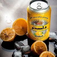 استخدام ویزیتور