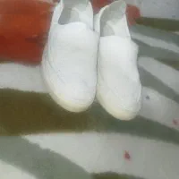 سلام کلاش کردی 900 هزار