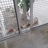 فروش قفس اهنی محکم