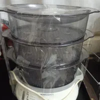 اتو و بخار پز سالم