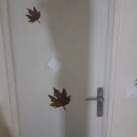 منطقه-19-تهران-شهرک-شریفی-دولتخواه-جنوبی