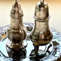 ظروف آنتیک سیلور
