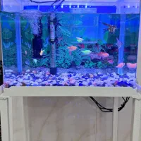 اکواریوم شیشه خم