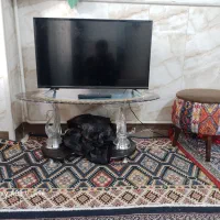 ال ای دی دِوُو|تلویزیون و پروژکتور|ساوه, |دیوار