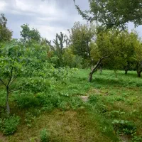 باغ-حصارشده