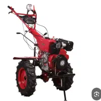 تیلر زنی زعفران