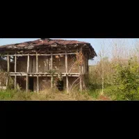 فروش خانه های روستایی جنگلی با تمام امتیازات کامل|فروش خانه و ویلا|اطاقور, |دیوار