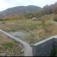 فروش-زمین-کشاوزی-به-متراژ-2600متر