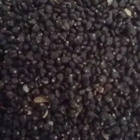 بذر خرفه