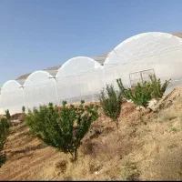 خرید و فروش گلخانه|خدمات پیشه و مهارت|شهرضا, |دیوار