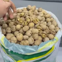 گردو خارجی|خوردنی و آشامیدنی|مهاباد (آذربایجان غربی), |دیوار