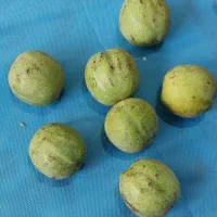 گردو بادام