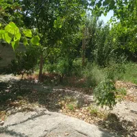 باغ۳۰۰متریسندتکبرگملاردویلایجنوبی|فروش خانه و ویلا|ملارد, |دیوار