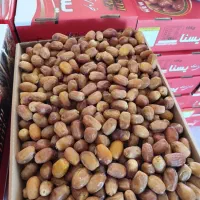 زاهدی ممتاز طلحه صادراتی