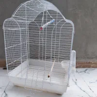 قفس و لانه پرنده