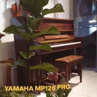 پیانو دیجیتال طرح اکوستیک یاماها|پیانو، کیبورد، آکاردئون|مینودشت, |دیوار