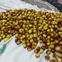 عناب وزرشک وزعفران