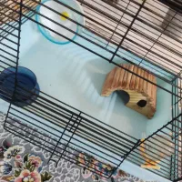 قفس همستر|لوازم جانبی حیوانات|تهران, شادآباد|دیوار