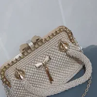 کیف مجلسی