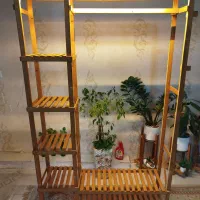 رگال تمام چوب رنگ شده و نورپردازی شده