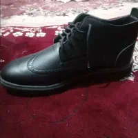 کفش مجلسی