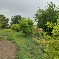 واحد-100-متری-دو-خواب