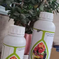 سرکه چوب تصفیه شده