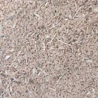 گندم دیم|خدمات باغبانی و درختکاری|تربت جام, جامرود|دیوار