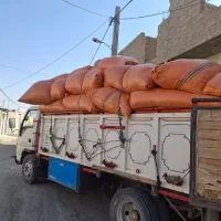 کاه لوبیاچیتی درجه یک،موقعیت لامرد علامرودشت