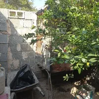 قفس بزرگ|لوازم جانبی حیوانات|بندرعباس, |دیوار