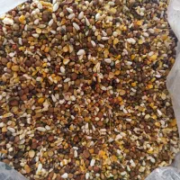 خوراک مرغ ، پرنده زینتی و دام