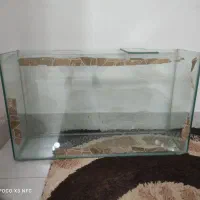آکواریوم فروشی
