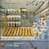 النگو لوکس ترمه فقط ۶۲۰هزارتومن بالای تابلو|جواهرات|شیراز, بازار|دیوار