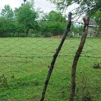 زمین مستثنیات دار  دارای کاربری کشاورزی ‌باغی